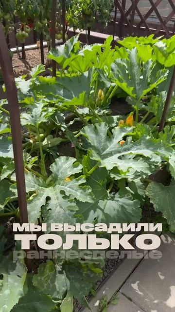 Дача своими руками.