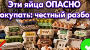 15 брендов яиц которые ОПАСНО брать в магазине как найти настоящие и распознать обман [get.gt]