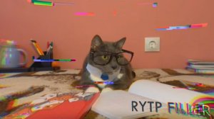 Kotiynet.avi | RYTP Filler