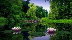 РЫБЫ.🌼🌼🌼 Ваш МАЙ 2026 года. ✨✨✨ Прогноз на картах Таро.