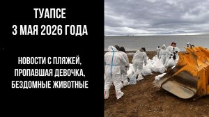 Туапсе, 3 мая 2026 года, новости с пляжей, пропавшая девочка, бездомные животные