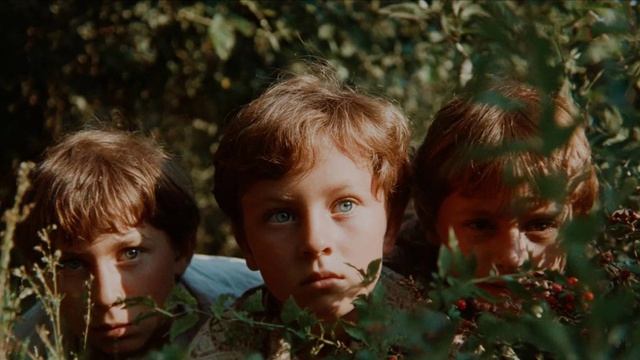 video_275 Исповедь сорванца
