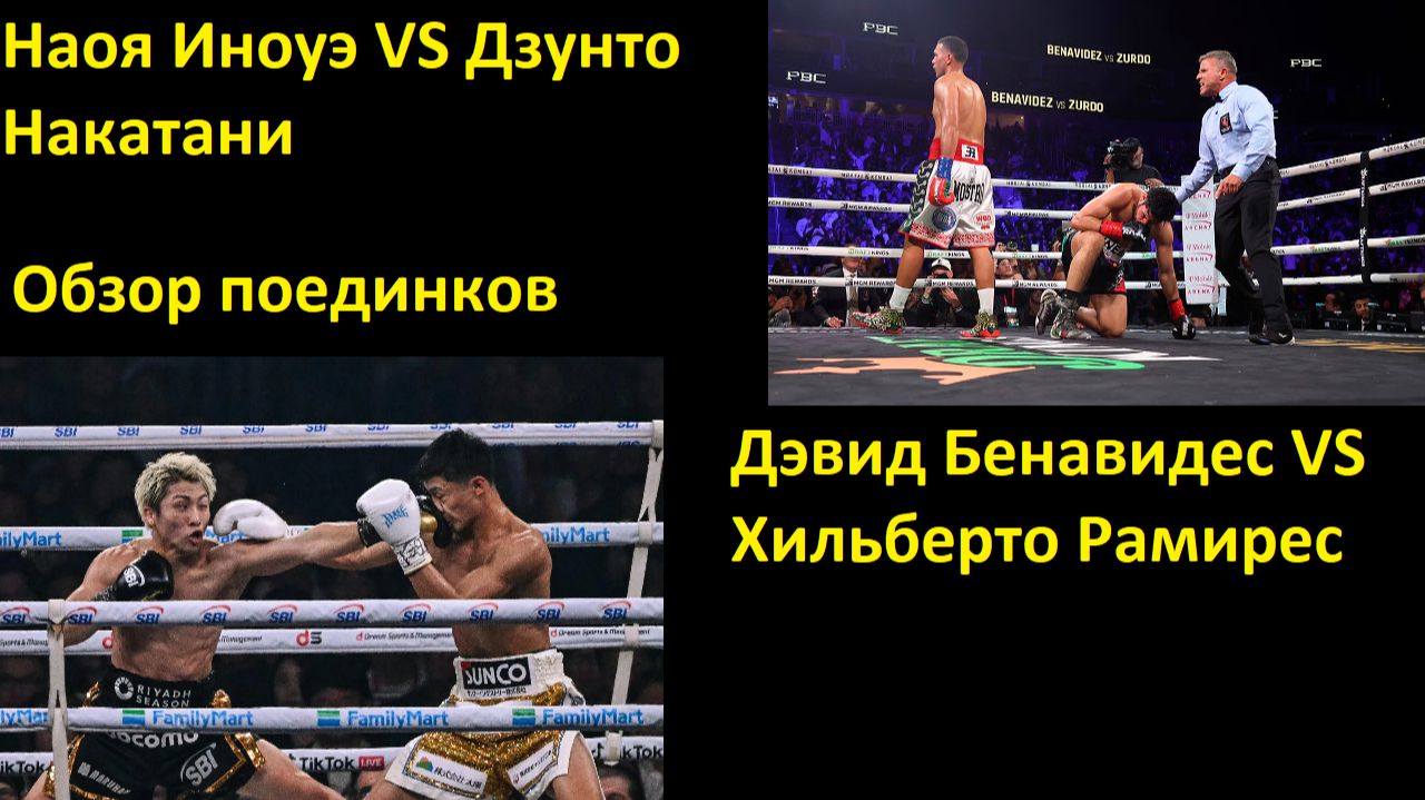 Обзор поединков ИНОУЭ VS НАКАТАНИ и БЕНАВИДЕС VS РАМИРЕС