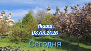 Анапа 03.05.2026 Сегодня