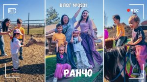 Поехали на ранчо «Авнесис»! Какие милые животные! - ВЛОГ №3931 - 02.05.26