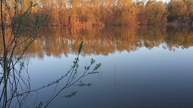 Река Обь, протока. Сильный паводок. смотреть онлайн