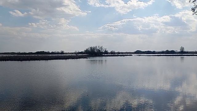 рыбалка