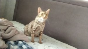 ричик на солнце