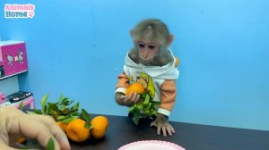 BiBi goes supper market then made a fruit cake