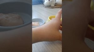 крыски