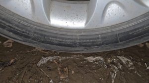 BMW X5 e53. Черти закрались ночью под колесо BMW :)