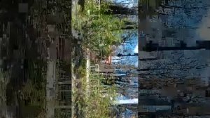 03-05-2026