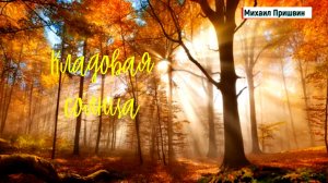 Кладовая солнца