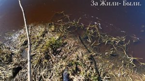 думали отдахнём на природе но, что - то пошло не так.