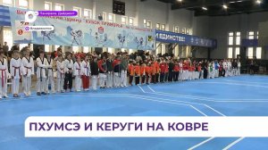 «Кубок Приморья» по тхэквондо собрал во Владивостоке около 500 участников