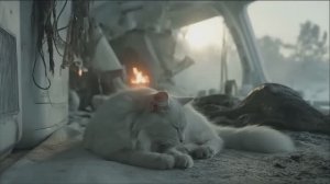 Видео и музыка сгенерированное нейросетью