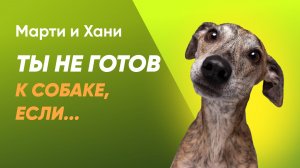 ТЫ НЕ ГОТОВ К СОБАКЕ, ЕСЛИ / ПОДУМАЙ 100 РАЗ ПЕРЕД ПОКУПКОЙ СОБАКИ / НЕ РАССКАЖУТ ЗАВОДЧИКИ