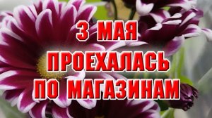 3 мая. Проехалась по магазинам. Товары для моего сада