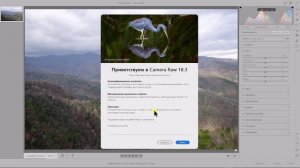 Как быстро и без проблем обновить свой фотошоп до версии 27.6, а модуль Camera Raw до версии 18.3