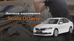 Замена сцепления на Skoda Octavia: от разбора до правильной работы