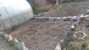 НОВЫЙ сорт КЛУБНИКИ получила.ПАШЕМ ОГОРОД.