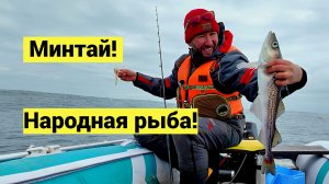 Минтай пришёл! В одиночку в безлюдном море!