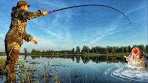 ЗАКИНУЛА ЭТО И СРАЗУ БЕШЕНЫЙ КЛЁВ НАЧАЛСЯ 🔴 Рыбалка 🔴 fishing mania 🔴 Best Fishing Girl 🐟