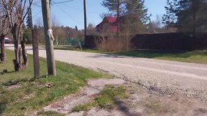 Подготовка буфета к перевозке/ Прогулялись по Сиверскому/ Что еще забрала из дома бабушки