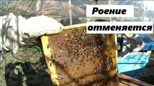 Самый распространенный приём в пчеловодстве.