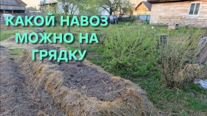 Из какого навоза можно делать навозную грядку