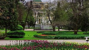 В Беларусь на автобусе. Дворцовый Гомель и НЕ дворцовый приём, Амакс Визит отель.
