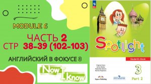 Spotlight 3 Часть 2 Module 6 стр 38–39 (старое 102–103) Английский в фокусе 3 | Разбор Now I Know