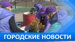 Городские новости 4 мая 2026