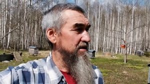 ЧП на ЭКО пасеке естественного пчеловодства .