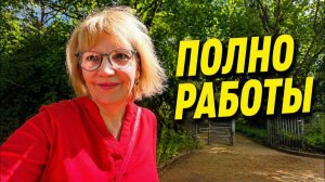 Света и Юрген- ШТУТТГАРТ ПОМОГ ОЧЕНЬ БЫСТРО…И СРАЗУ НОВАЯ РАБОТА.