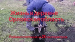 Как поймать слепыша на самострел. Подроб от установки до ловли. Орловская область.
