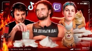 (слэш) РЕКЛАМА КОТИКОВ ЗАХВАТИЛА ИНТЕРНЕТ - ДОНАТЫ СТРИМЕРАМ, ТВИЧ, ТИКТОК