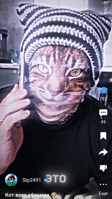 наш первый котик смотреть онлайн