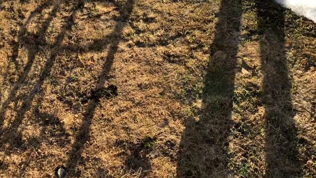 Влог 4 мая смотреть онлайн