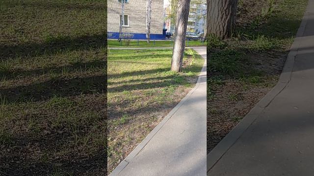 . смотреть онлайн