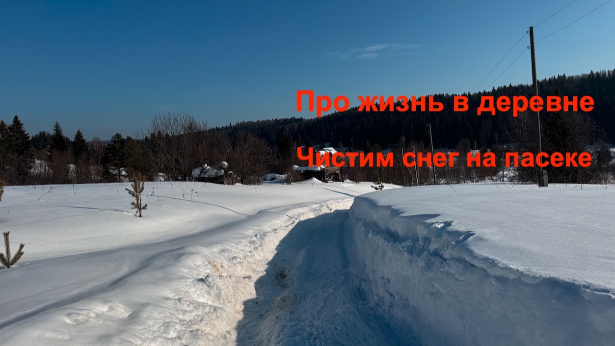 Чистим снег на пасеке