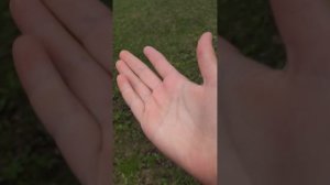 Обзор дачи🩷