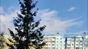 ДА КОМУ НУЖНА ВАША ПРАВДА ОТ ДРУЗЕЙ