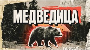МЕДВЕДИЦА [АУДИОКНИГА/ДЕТЕКТИВ]