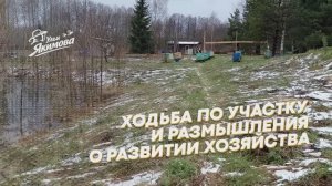 Ходьба по участку и размышления о развитии хозяйства