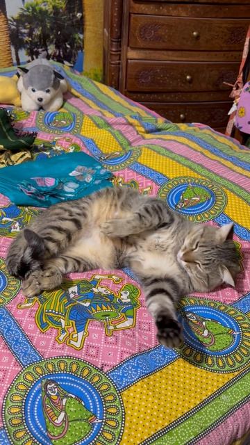 Я у мамы самый ,самый💞😻🤩😍🥰🐈😁🤗