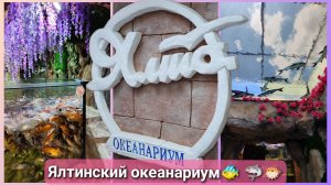 Стоит ли посетить Ялтинский океанариум🐠 🐢🦈 #ялта #крым #влог #океанариум # отдыхвкрыму #море