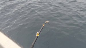 Настоящая морская рыбалка в Баренцевом море. Отдых и развлечения в Мурманске.