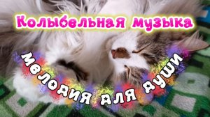 Музыка для души. Красивая мелодия.