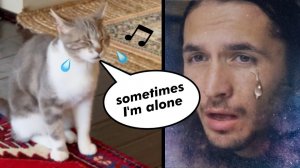 The Kiffness x Lonely Cat - Sometimes I'm Alone (Singing Cat)